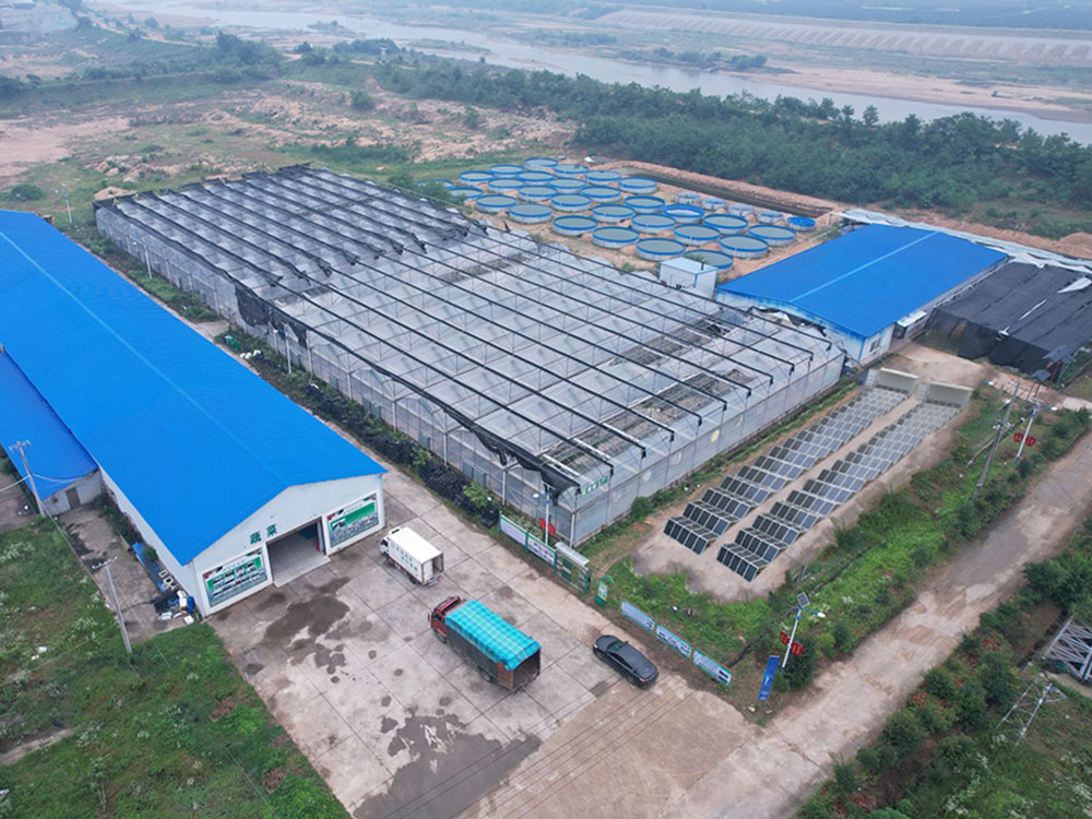 Solar Power Containers for Eigene Stromversorgung